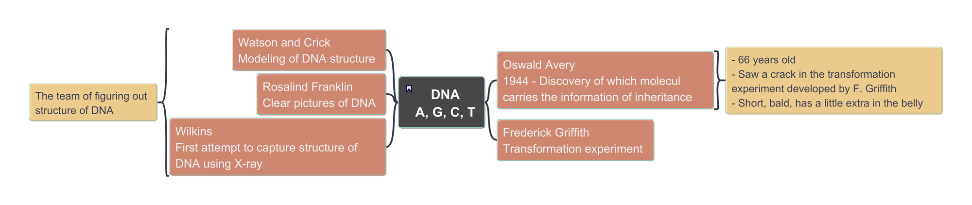 The Gene - Saying Simple to a Thing Makes It Really Simple?
