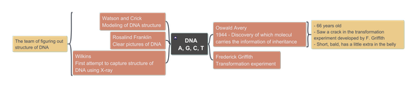 The Gene - Saying Simple to a Thing Makes It Really Simple?
